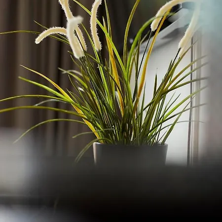 Modern Canal House Loft - Center 3* Amsterdam